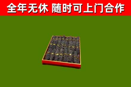 龙州回收海参